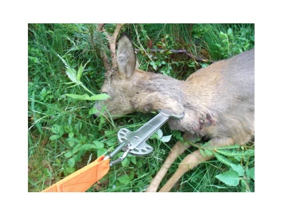 Wildgalgen und Bergehilfe